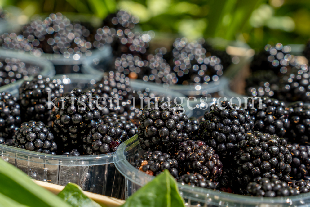 Brombeeren by kristen-images.com