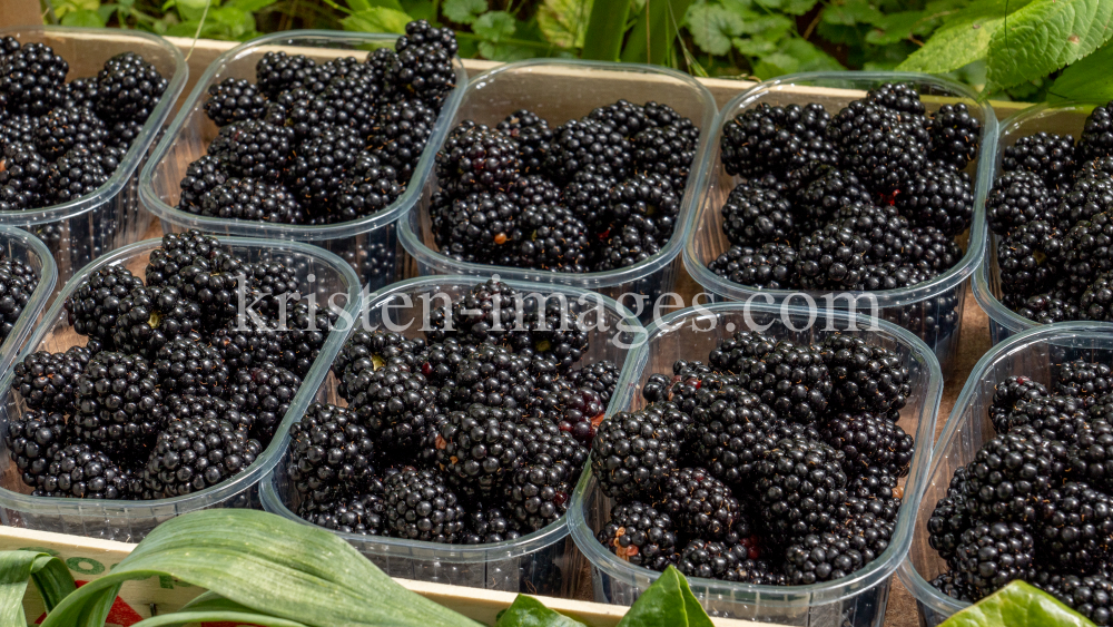 Brombeeren by kristen-images.com