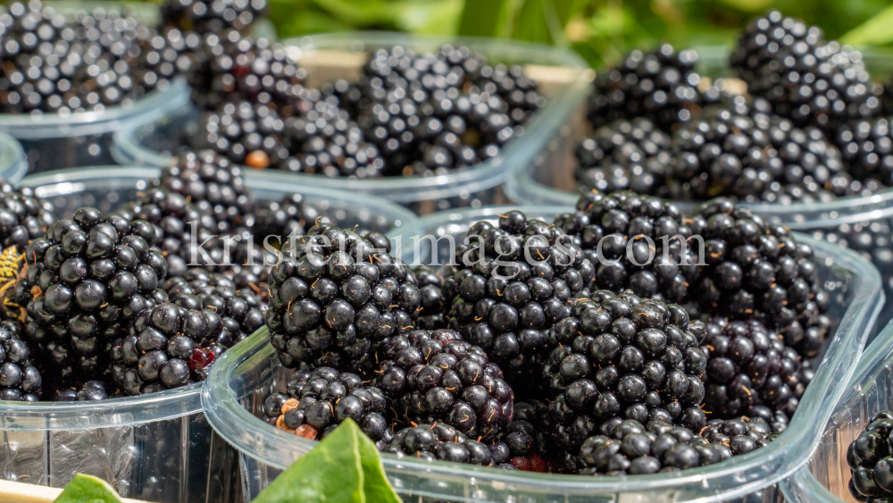 Brombeeren by kristen-images.com