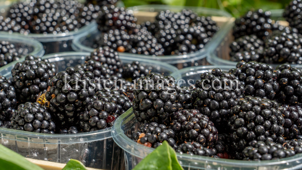 Brombeeren by kristen-images.com