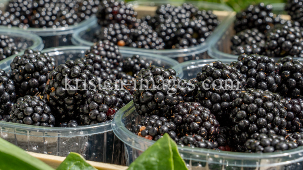 Brombeeren by kristen-images.com