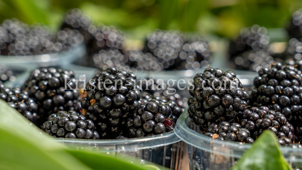 Brombeeren by kristen-images.com