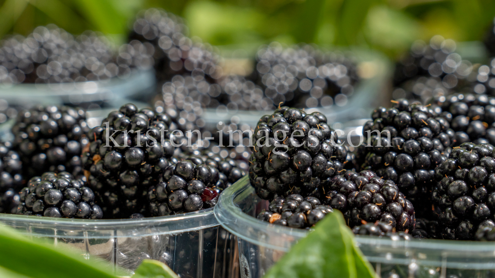 Brombeeren by kristen-images.com