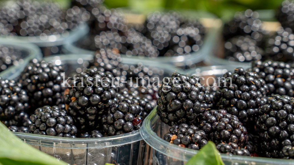 Brombeeren by kristen-images.com