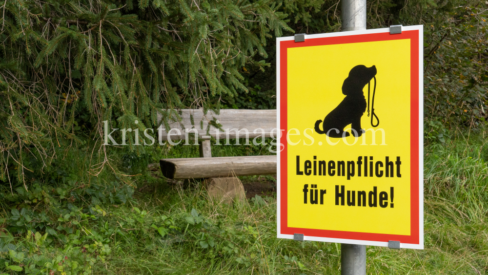 Hinweisschild: Leinenpflicht für Hunde! by kristen-images.com