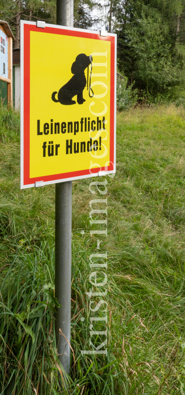 Hinweisschild: Leinenpflicht für Hunde! by kristen-images.com