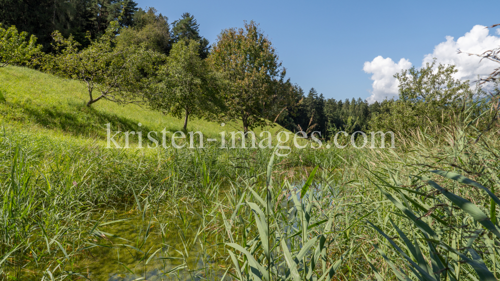 Teich in Aldrans, Tirol, Österreich by kristen-images.com