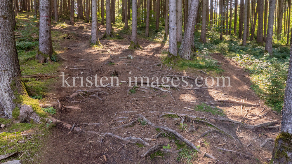 Downhill-Trail / Paschberg, Lans, Innsbruck, Tirol, Österreich by kristen-images.com