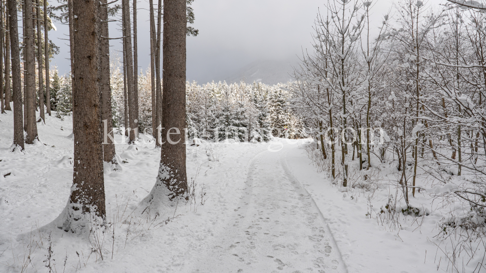 Wanderweg im Ullwald, Igls, Innsbruck, Tirol, Österreich by kristen-images.com