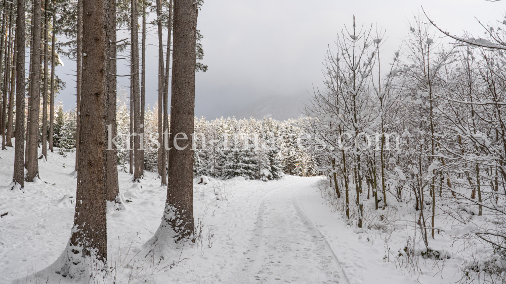 Wanderweg im Ullwald, Igls, Innsbruck, Tirol, Österreich by kristen-images.com