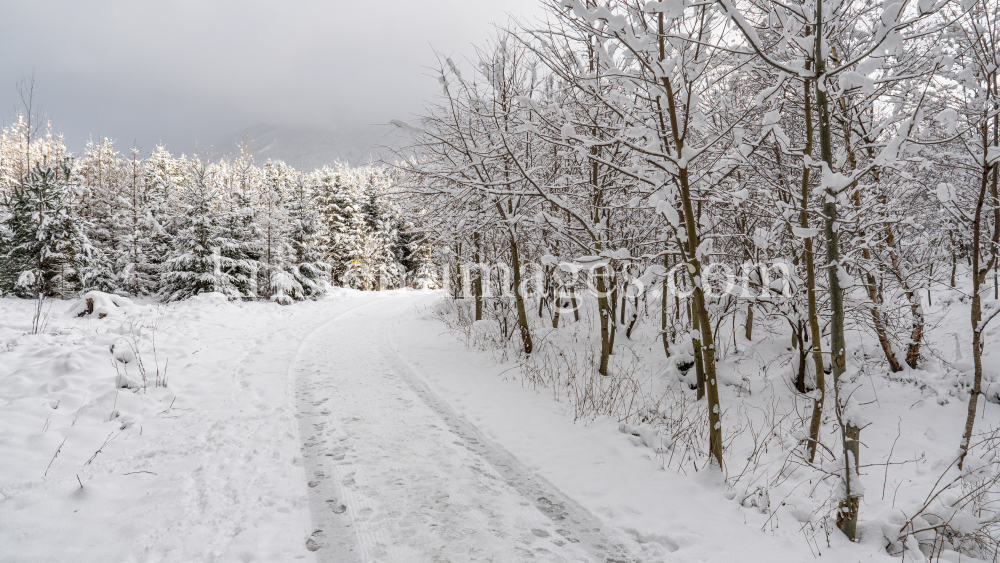 Wanderweg im Ullwald, Igls, Innsbruck, Tirol, Österreich by kristen-images.com