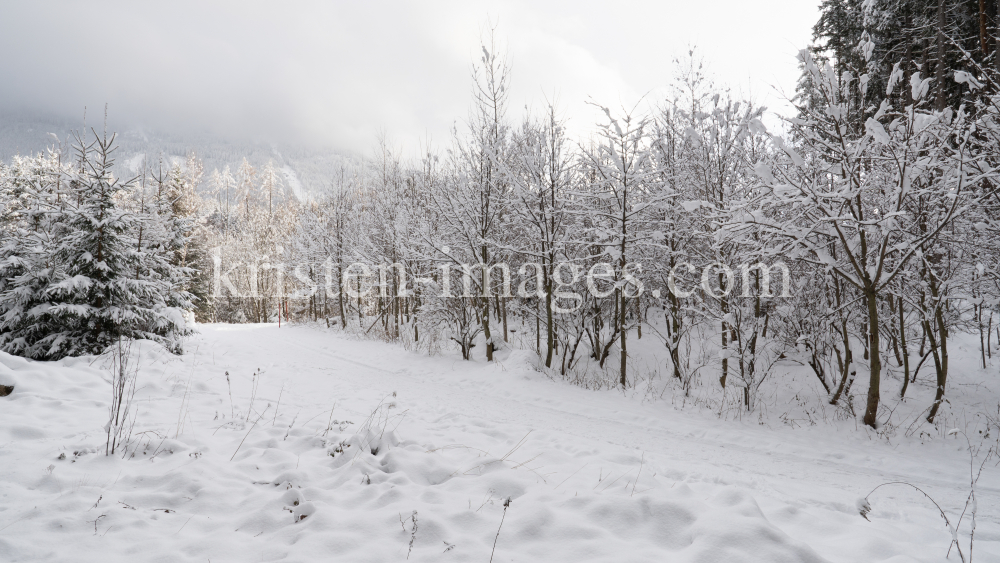 Wanderweg im Ullwald, Igls, Innsbruck, Tirol, Österreich by kristen-images.com