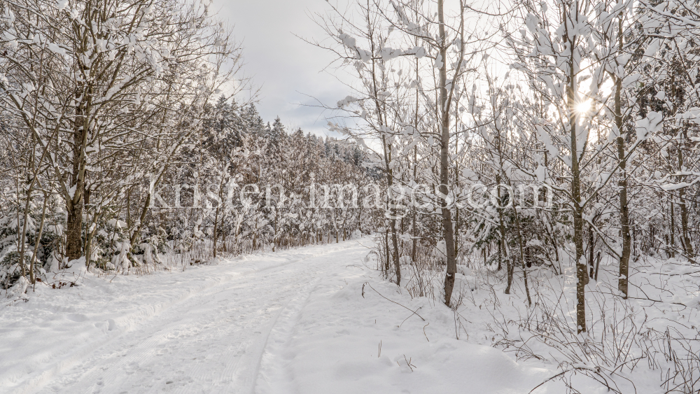 Wanderweg im Ullwald, Igls, Innsbruck, Tirol, Österreich by kristen-images.com