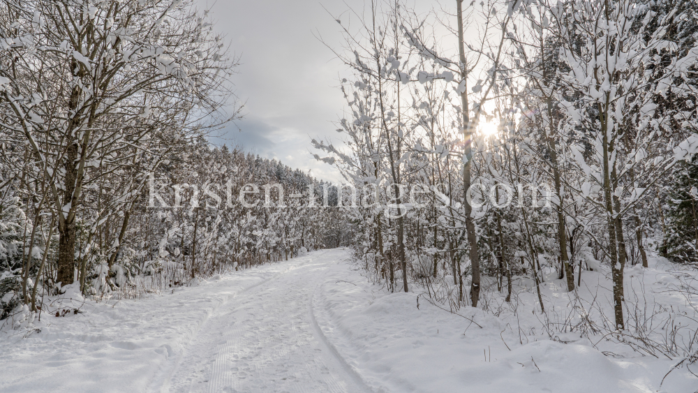 Wanderweg im Ullwald, Igls, Innsbruck, Tirol, Österreich by kristen-images.com