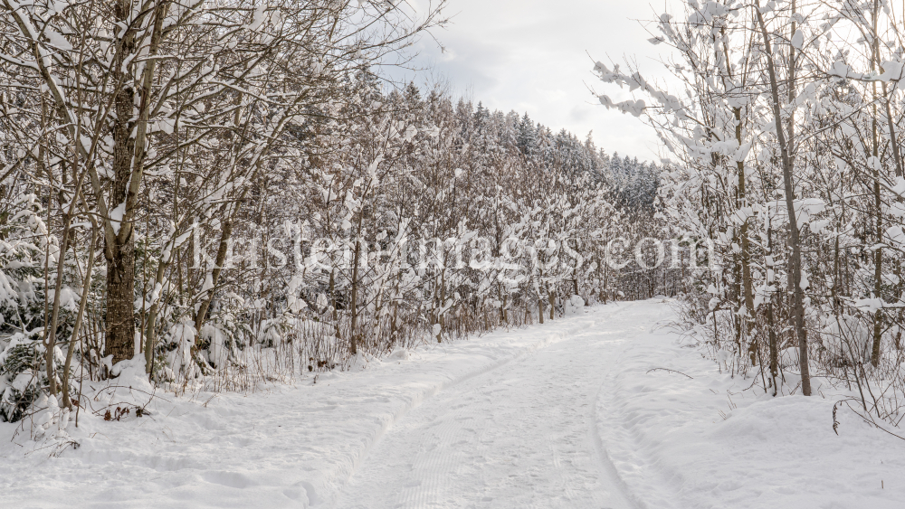 Wanderweg im Ullwald, Igls, Innsbruck, Tirol, Österreich by kristen-images.com