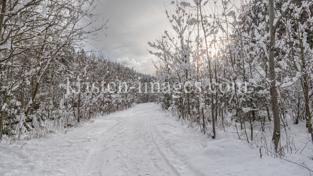 Wanderweg im Ullwald, Igls, Innsbruck, Tirol, Österreich by kristen-images.com