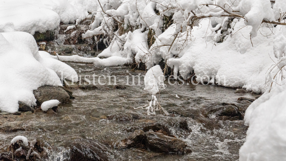 Viller Bach, Ramsbach / Ullwald, Igls, Innsbruck, Tirol, Österreich by kristen-images.com