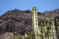 Gran Canaria