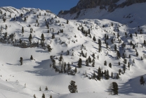 Achensee Tourismus / Rofangebirge / Maurach