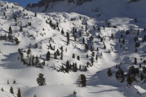 Achensee Tourismus / Rofangebirge / Maurach