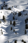 Achensee Tourismus / Rofangebirge / Maurach