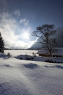 Achensee Tourismus / Maurach / Buchau