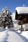 Achensee Tourismus / Pertisau