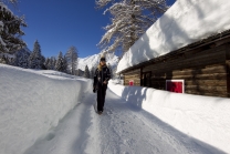 Achensee Tourismus / Pertisau