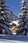 Achensee Tourismus / Pertisau