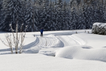 Achensee Tourismus / Maurach / Eben