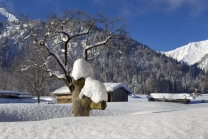 Achensee Tourismus / Achenkirch