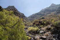 Gran Canaria