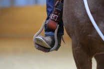 Reitarena Stubai / horsemanship