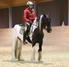 Reitarena Stubai / horsemanship