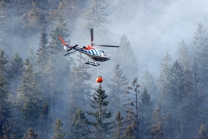 Waldbrand bei Absam, Halltal