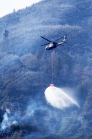 Waldbrand bei Absam, Halltal