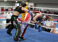 Kickboxing Worldcup Austrian Classics / Innsbruck