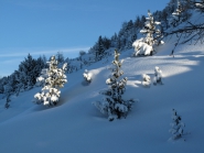 Patscherkofel / Tirol