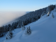 Patscherkofel / Tirol