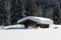 Achensee Tourismus / Pertisau