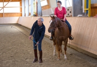 klassische Dressur mit Monolo Mendez / Aldrans, Tirol