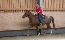 klassische Dressur / Aldrans, Tirol