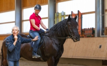 klassische Dressur / Aldrans, Tirol