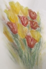 Tulpen - Pastellmalerei