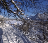 Achensee Tourismus / Wiesing