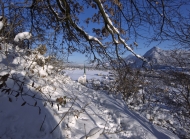 Achensee Tourismus / Wiesing