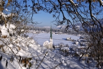 Achensee Tourismus / Wiesing