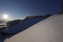 Achensee Tourismus / Wiesing