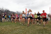 Crosslauf / Österreichische Staatsmeisterschaften / Innsbruck