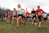 Crosslauf / Österreichische Staatsmeisterschaften / Innsbruck